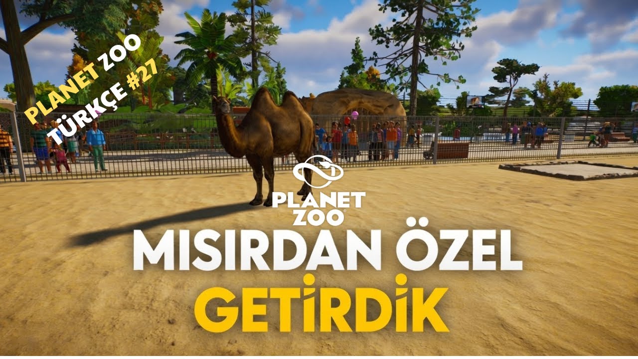 MISIRDAN ÖZEL OLARAK GETİRDİK | PLANET ZOO TÜRKÇE #27