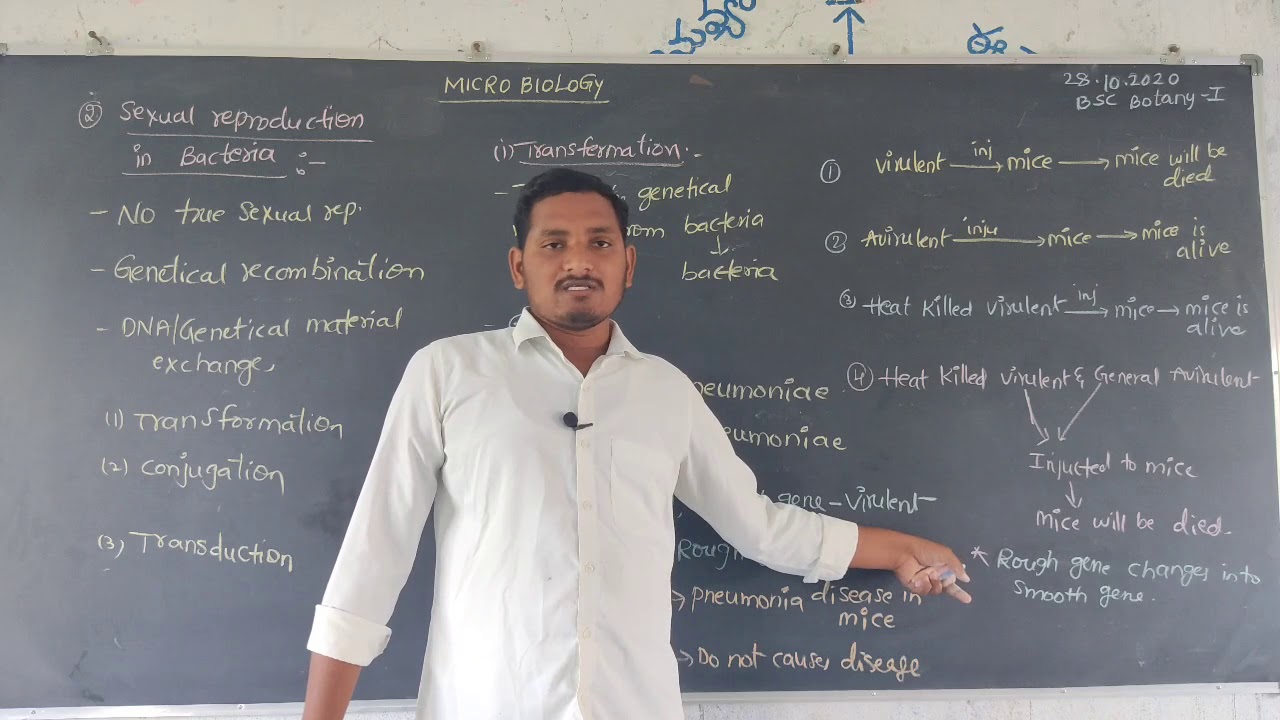 B.Sc Botany 1st Year sexual Reproduction in Bacteria.