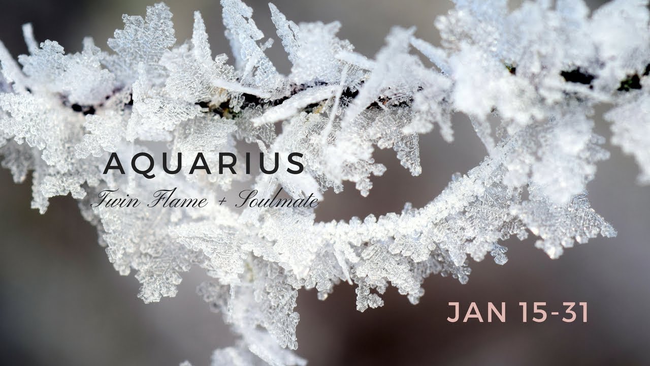 Someone says I Love You, AQUARIUS