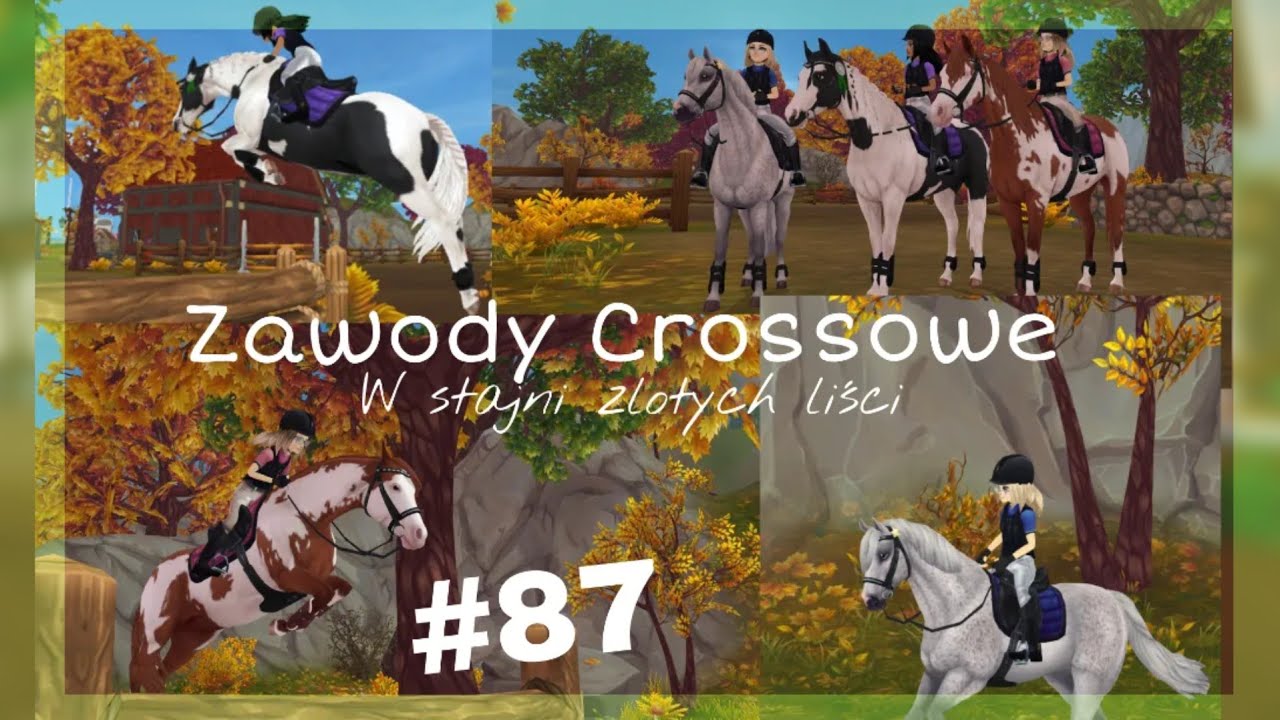 Realistyczne Sso #87 ll Zawody Cross'owe✨