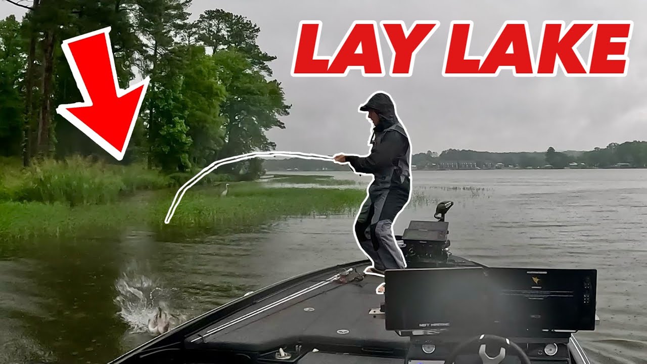 Grass Fishing MADNESS (Lay Lake Shad Spawn) [4K]