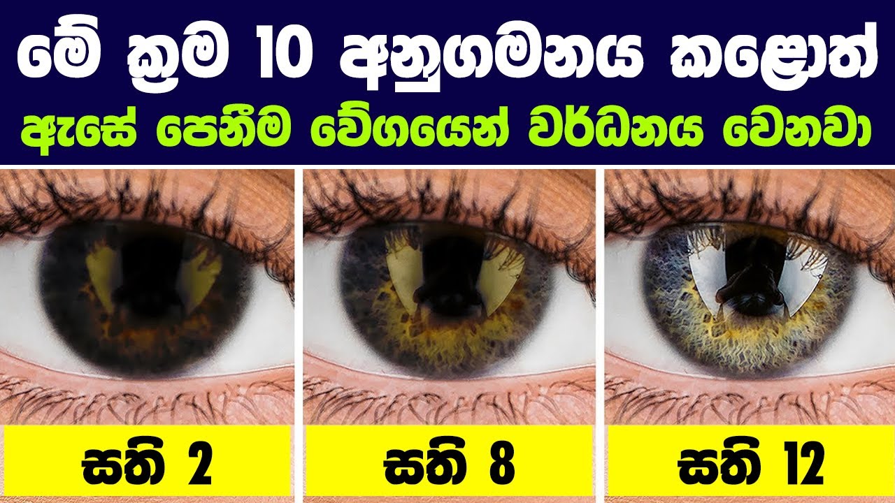 මේ ක්‍රම 10 අනුගමනය කළොත් ඇසේ පෙනීම වේගයෙන් වර්ධනය වෙනවා | Improve Your Eyesight Fast at Home