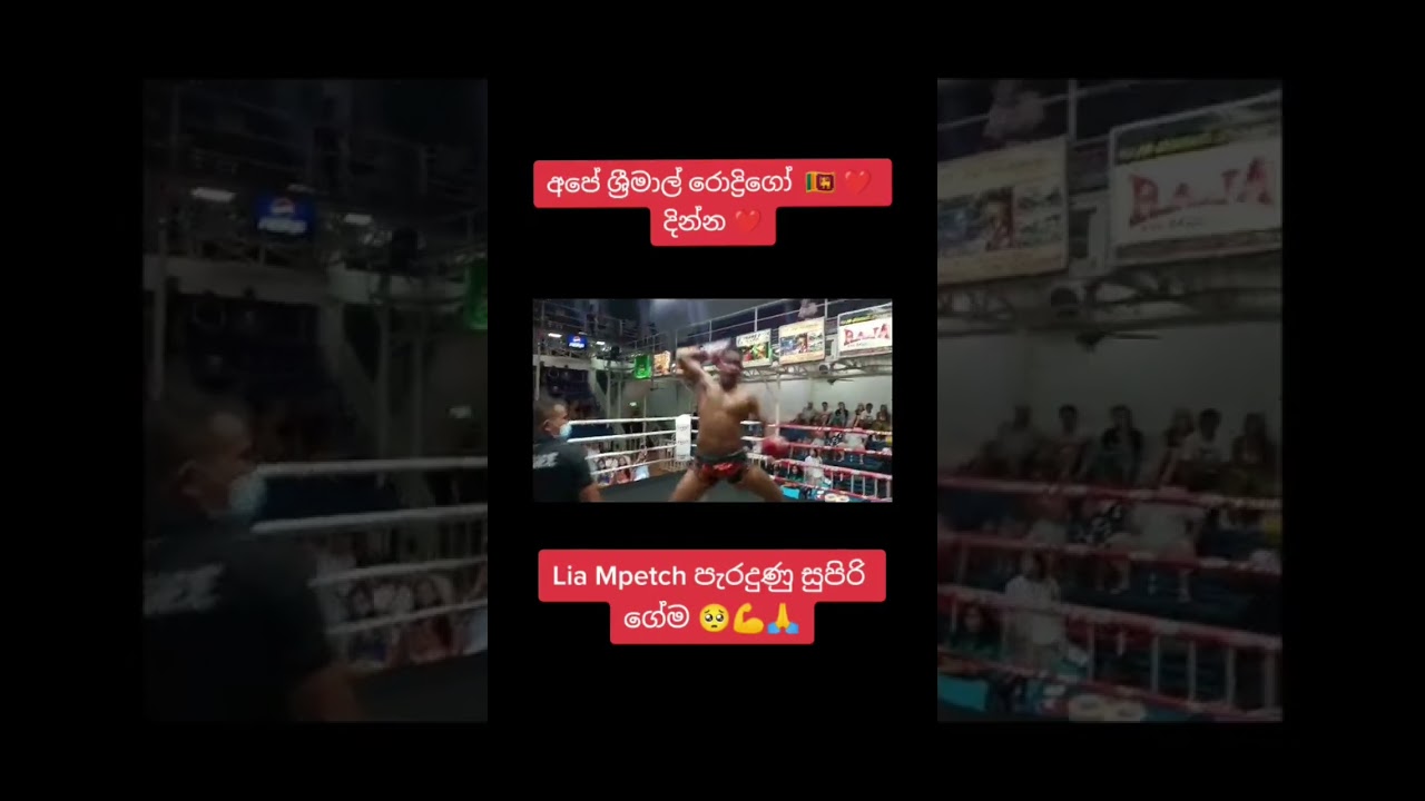 Srimal Rodrigo | Gossip Hut 🏠 #srilanka #shorts #congratulations #mma #mmafighter #slc #apekollo