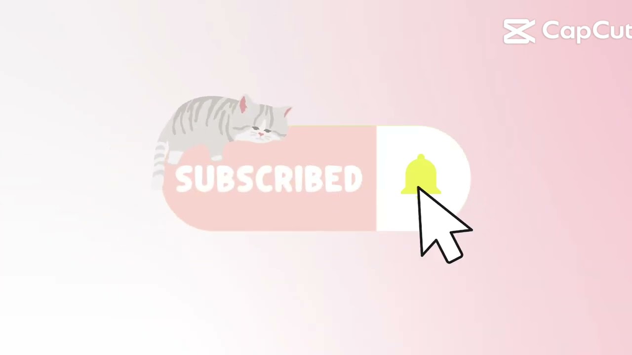 Pls like and Subscribe! 