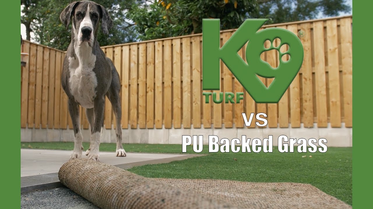 Drainage Test!! K9 Turf vs PU Backed Artificial Grass for Dogs