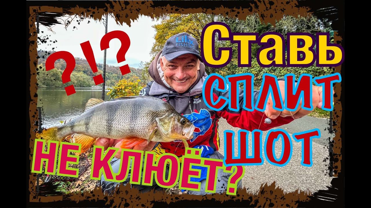 НЕ КЛЮЕТ - Ставь СПЛИТ ШОТ! Оружие от бесклевья! НАЛОВИЛ много ОКУНЯ осенью!
