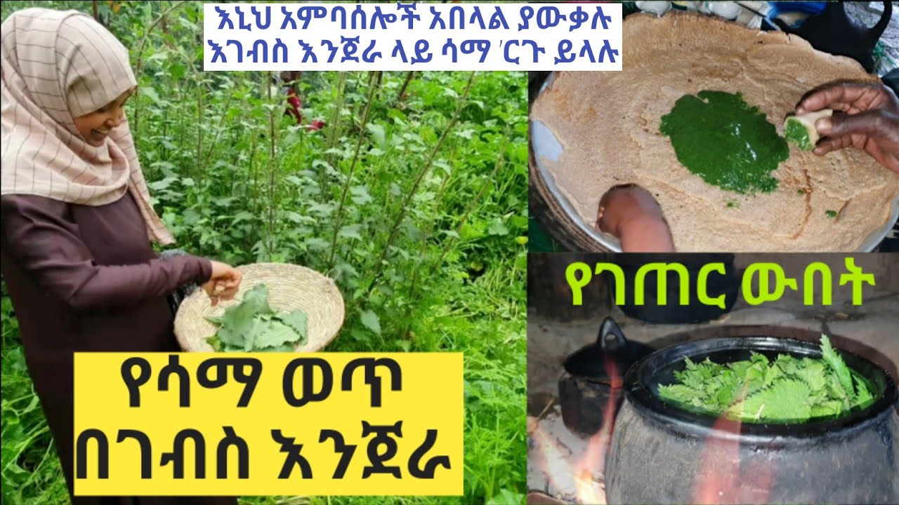 ✅የሳማ ወጥ ቀምሳችሁ ታውቃላችሁ ?  ወደ ባላገሩ ቀዬ እንጓዝ = life in the farm|Tossa tube