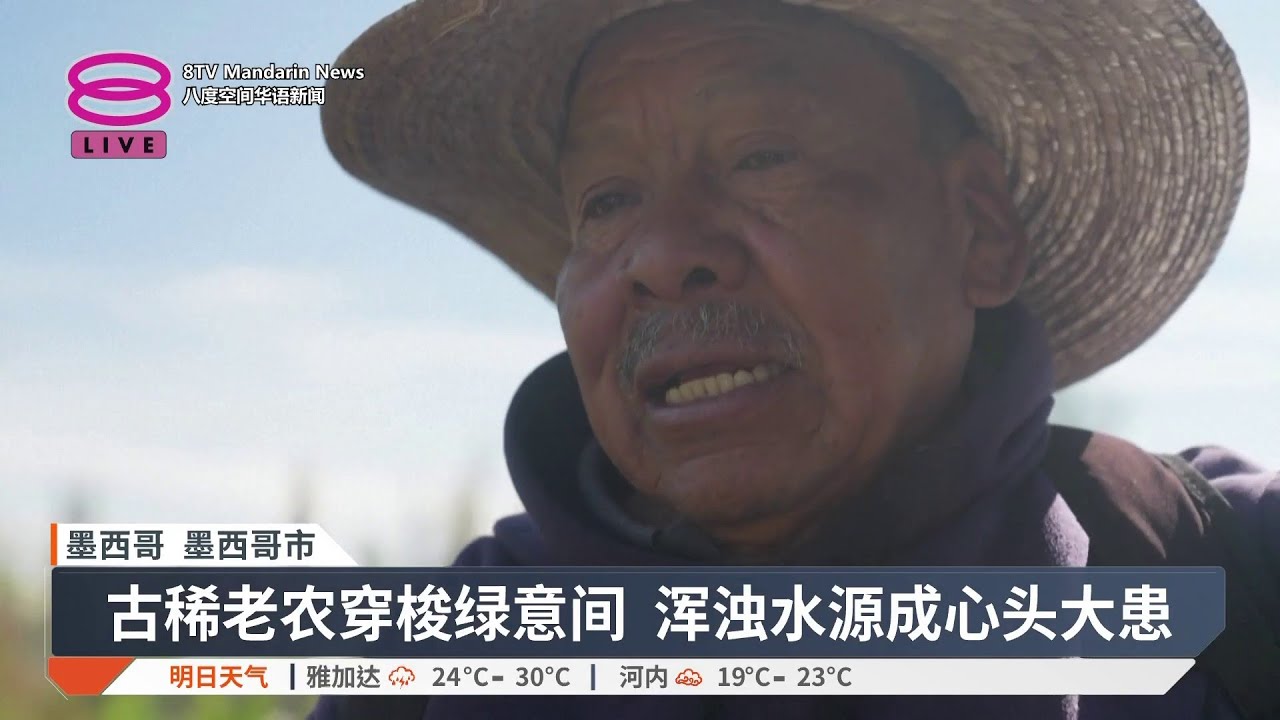 万缕青丝净化水源 千年农田重焕生机【2026.02.18 八度空间华语新闻】