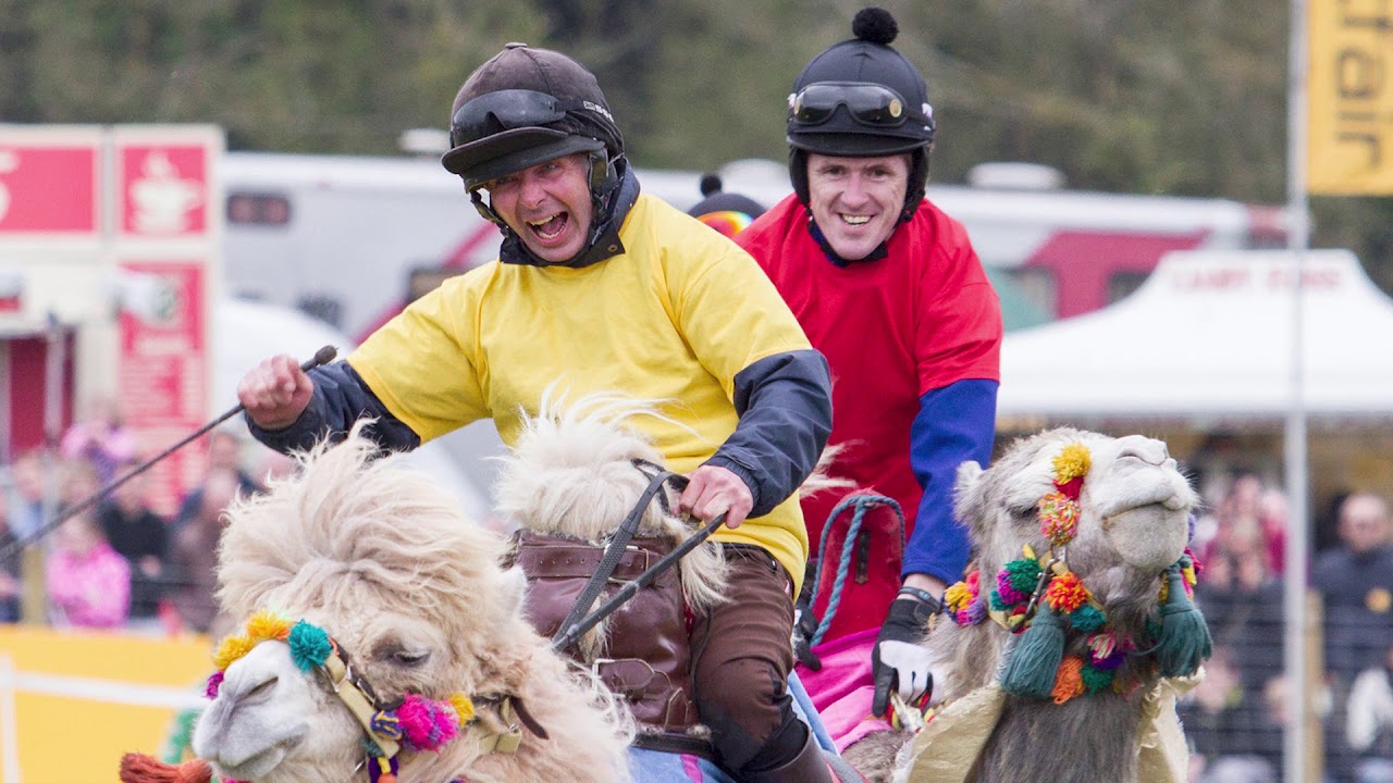2019 Peter O'Sullevan Lambourn Open Day