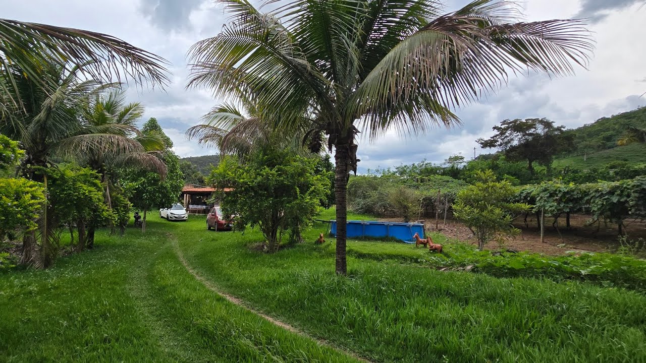 ✨️ SÍTIO UNIÃO GUIRA 19.2 HECTARES ✨️ POTE-MG VÍDEO COMPLETO ATUALIZADO 