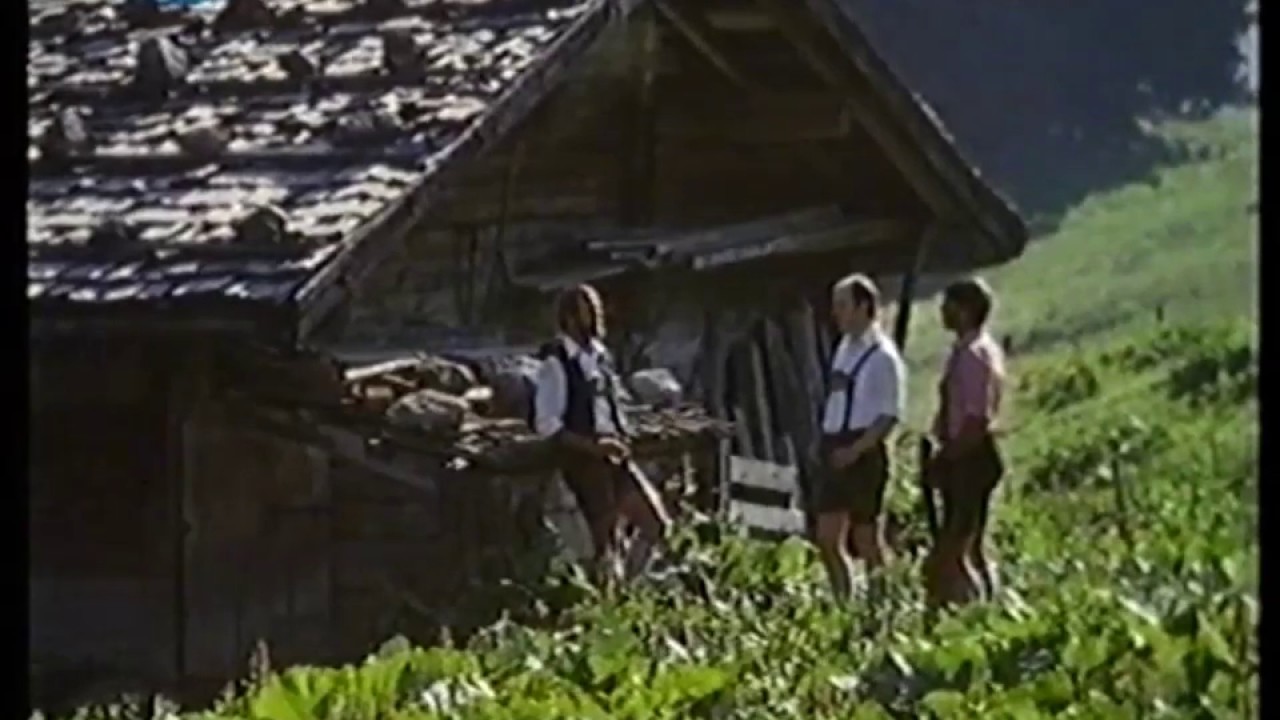 Ramsauer Sänger - Auf der Alm, da wachst a kuglats Gras (Musik auf der Alm 06)