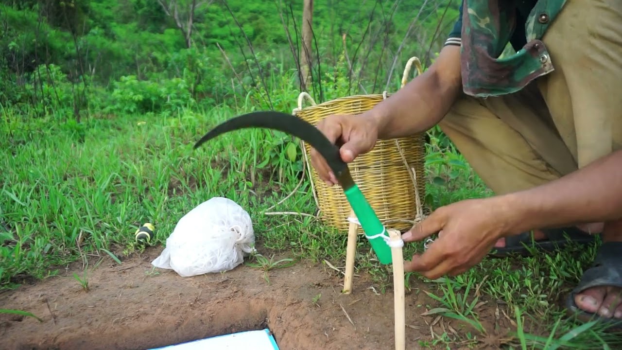 Build Unique Underground Trap Using Deep Hole - How To Make Quail Bird Trap Work 100%