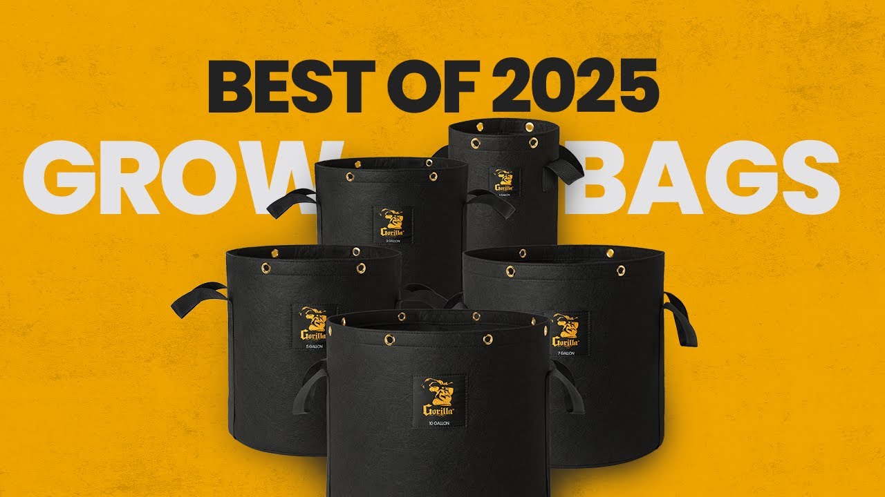 Best Fabric Grow Bags 2025: Top Choices for Your Garden
