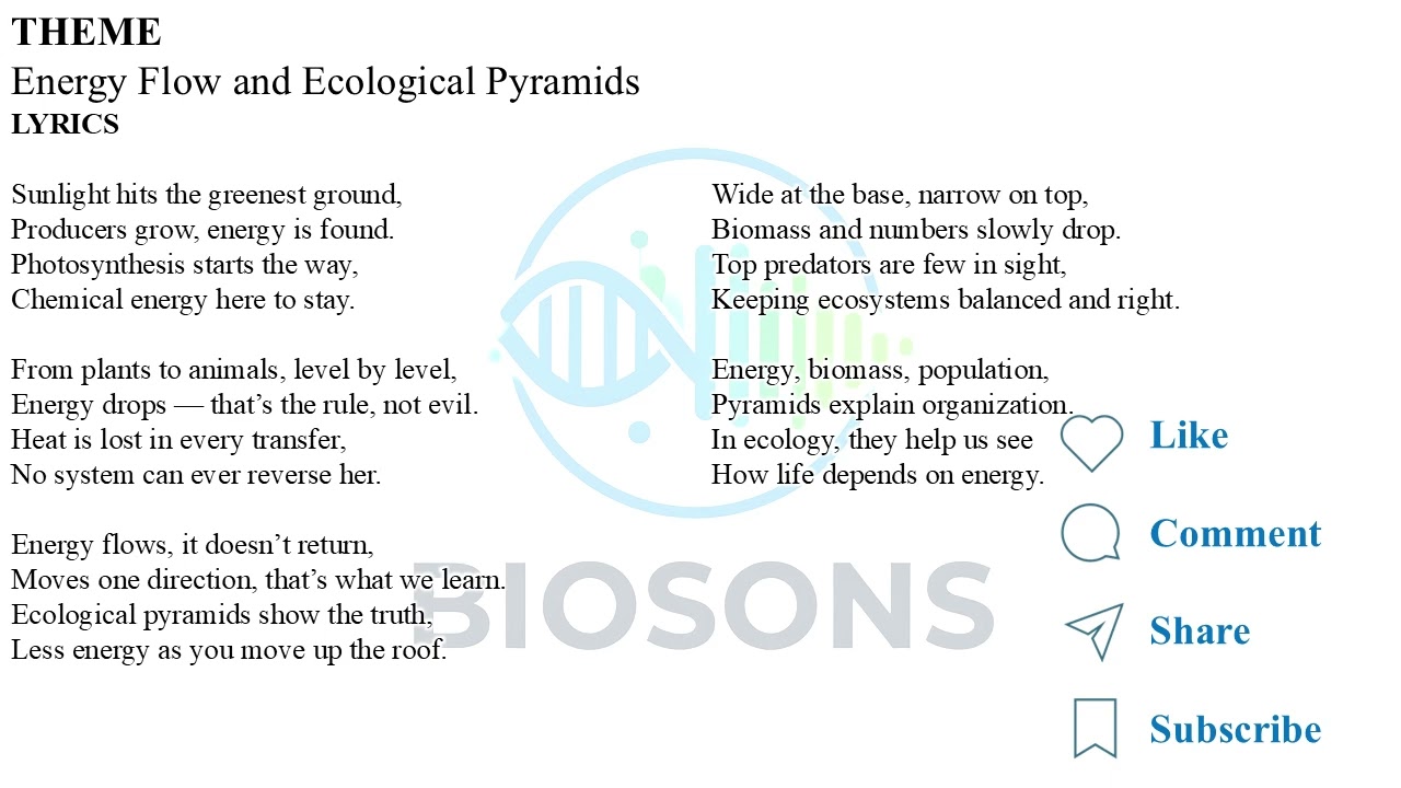Energy Flow and Ecological Pyramids: Energy, Biomass and Trophic Levels