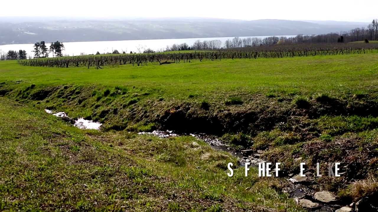 Finger Lakes Wine Month, Wines of the Finger Lakes