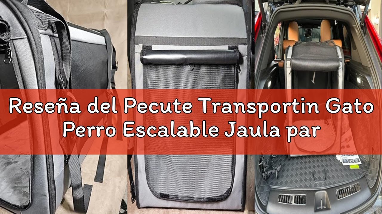 Reseña del Pecute Transportin Gato Perro Escalable Jaula para Gatos Perros Casa de Gatos Perros con