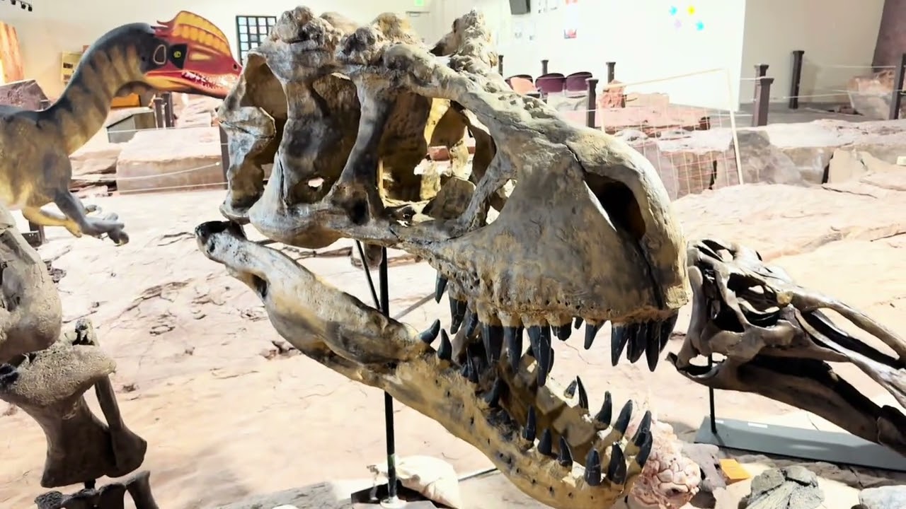 Museo do Dinossauro em Saint George Utah nos EUA