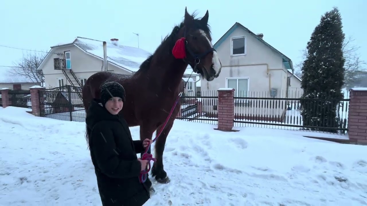 Афіна подружка лероя 