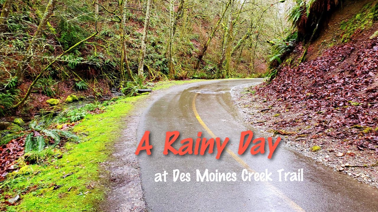 A Rainy Day | Des Moines Creek Trail