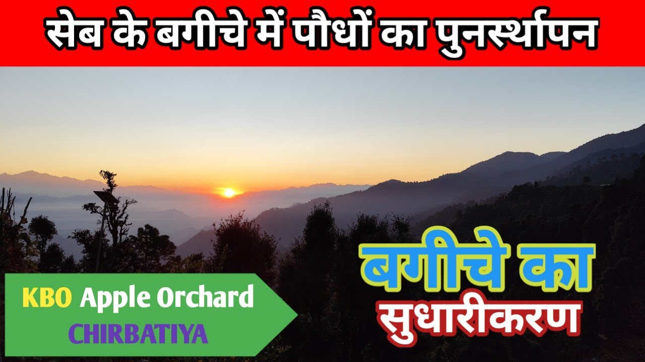 KBO Apple Orchard Chirbatiya| पौधों का पुनर्स्थापन व सुधारीकरण| Rudraprayag| Uttarakhand @hillvani