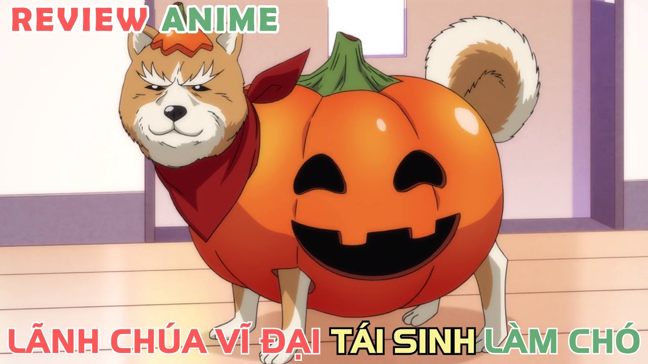 L&atilde;nh Ch&uacute;a Vĩ Đại Chuyển Sinh L&agrave;m Ch&oacute; | REVIEW PHIM ANIME HAY
