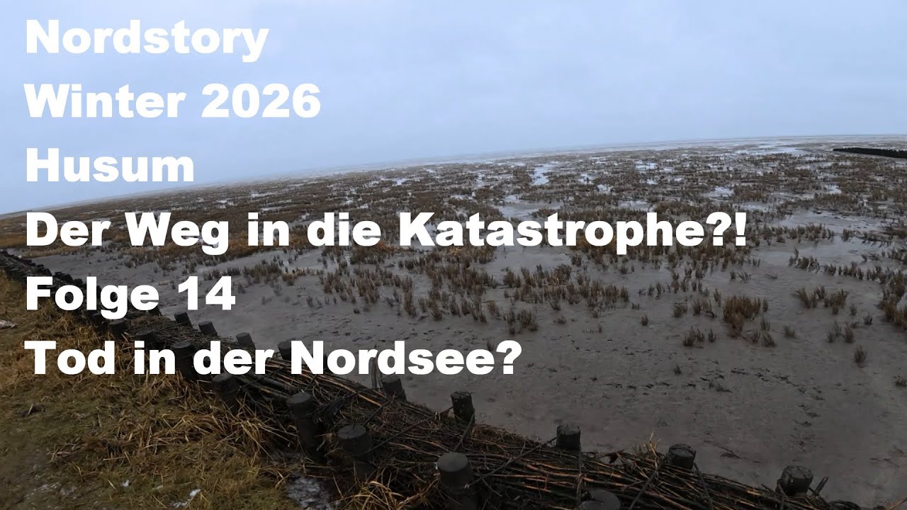 Nordstory  Wird der Winter im Norden uns ins Chaos stürzen? Folge 14! Gasnotlage und Küstenüberblick