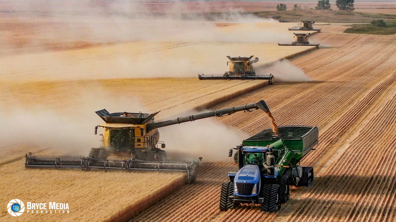 New Holland CR 8 Mähdrescher x7 + MacDon FD2 & 2x New Holland T9 Großtraktoren / Großeinsatz Ernte!