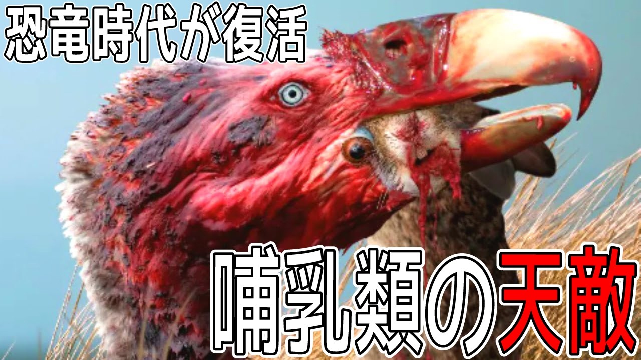 【蘇る恐竜時代】恐竜絶滅後に現れた“怪鳥”が哺乳類を恐怖のどん底に叩き潰した【テラーバード】※画質改良版