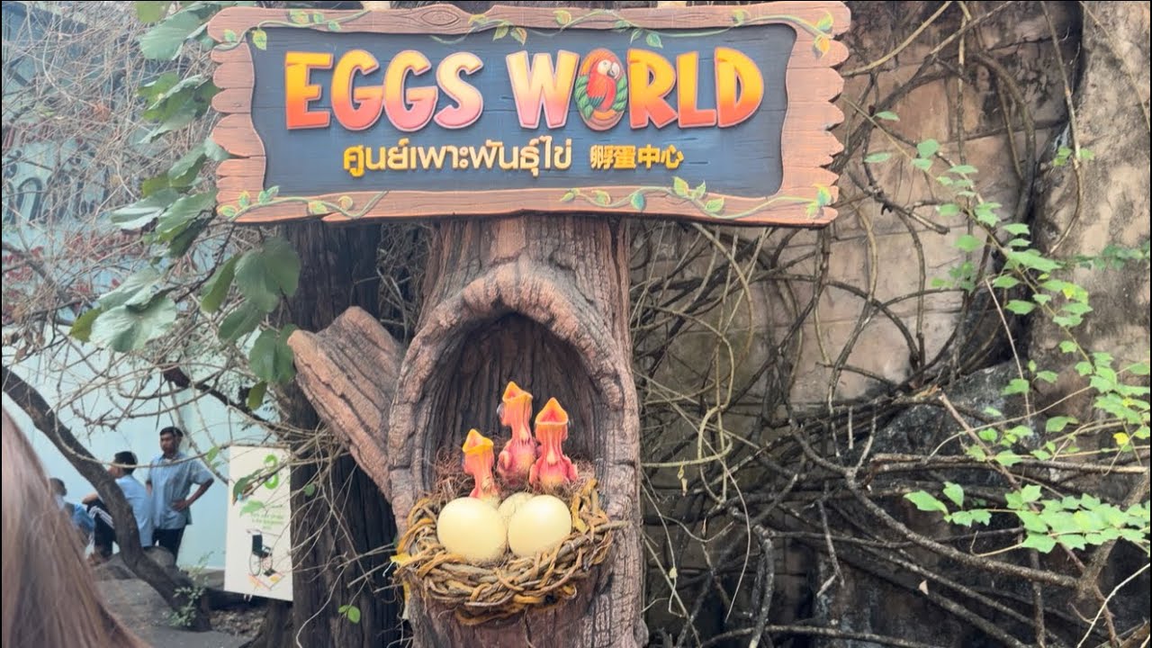  I Didn’t Know These Eggs Existed 🤯 | Eggs World in Jungle Safari Bangkok | Thailand 🇹🇭 