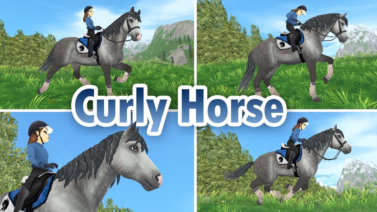 OMG knuffig! 😱 Curly Horse kaufen [SSO]