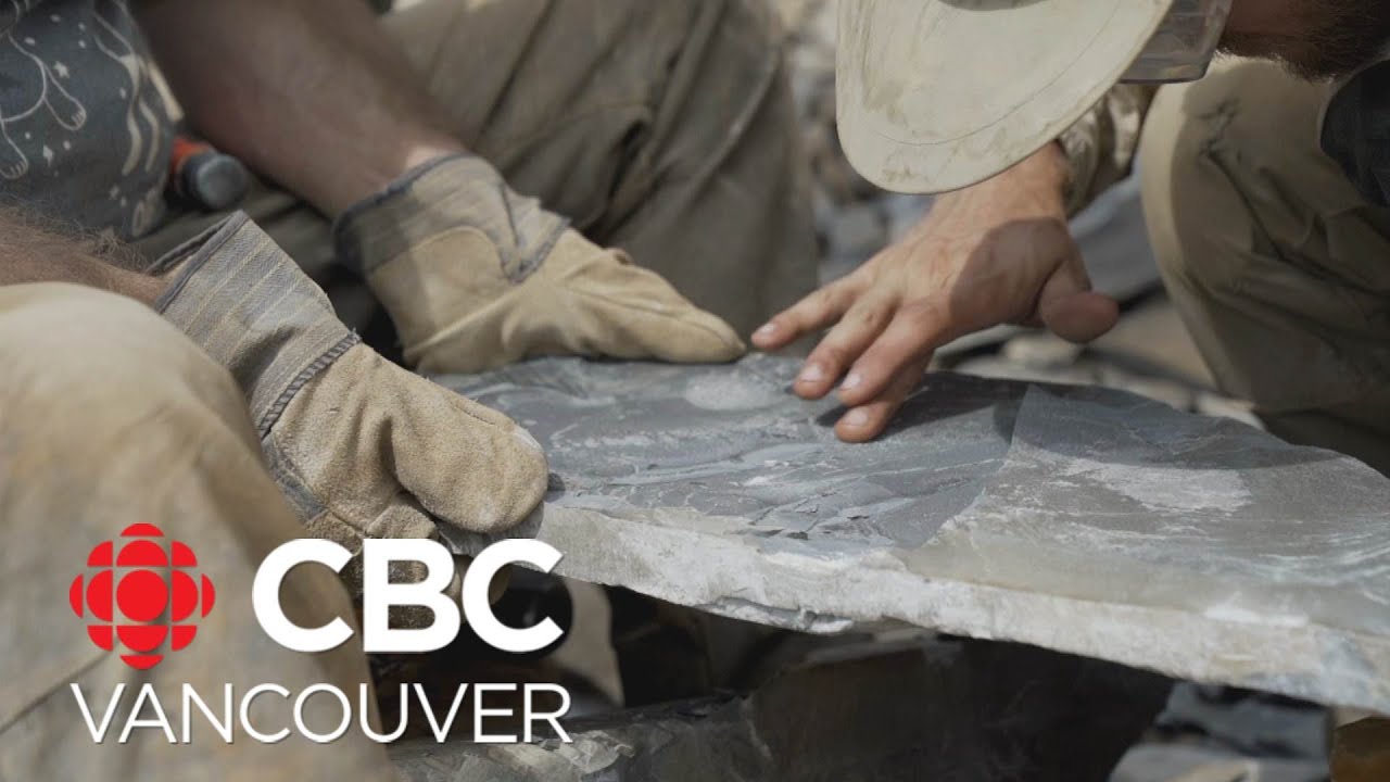 In search of 500-million-year-old fossils of marine life