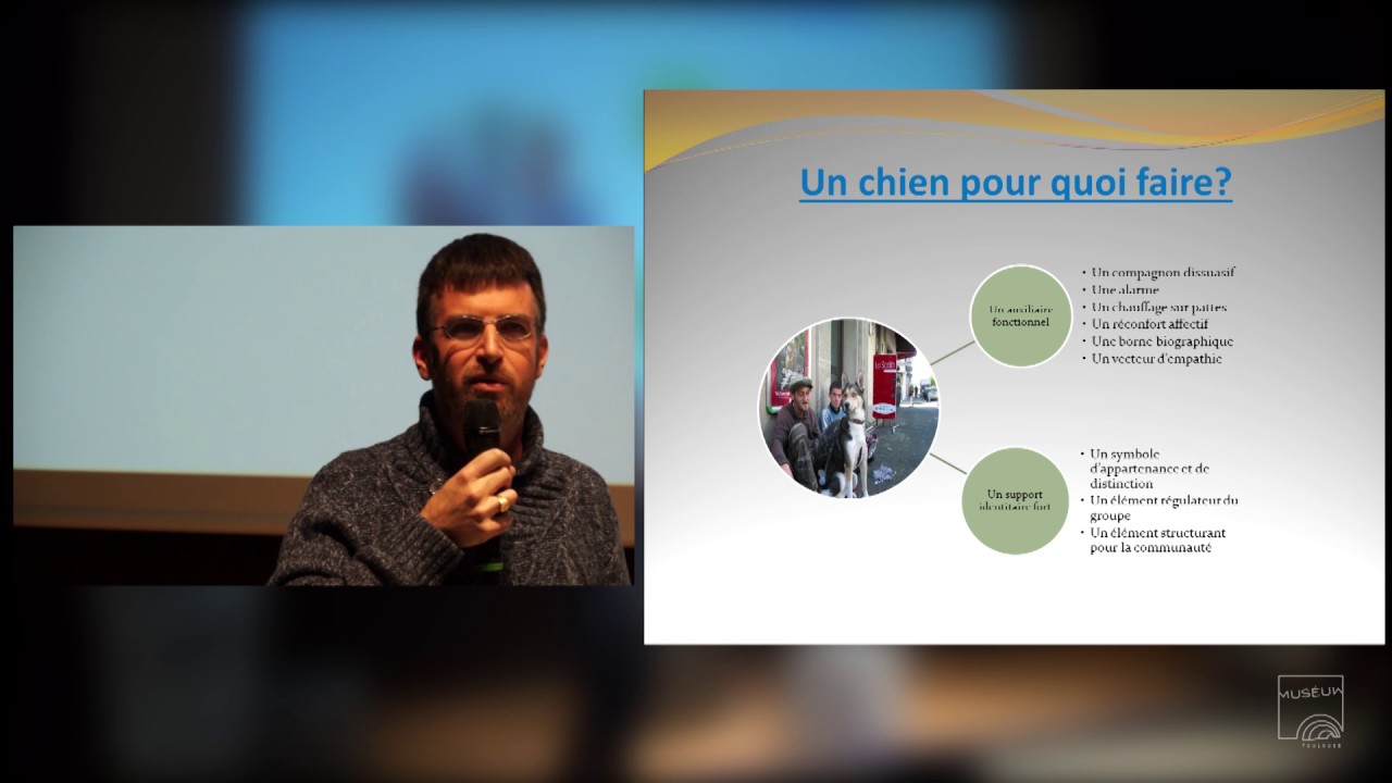 Le punk à chiens : un binôme méconnu - Christophe Blanchard