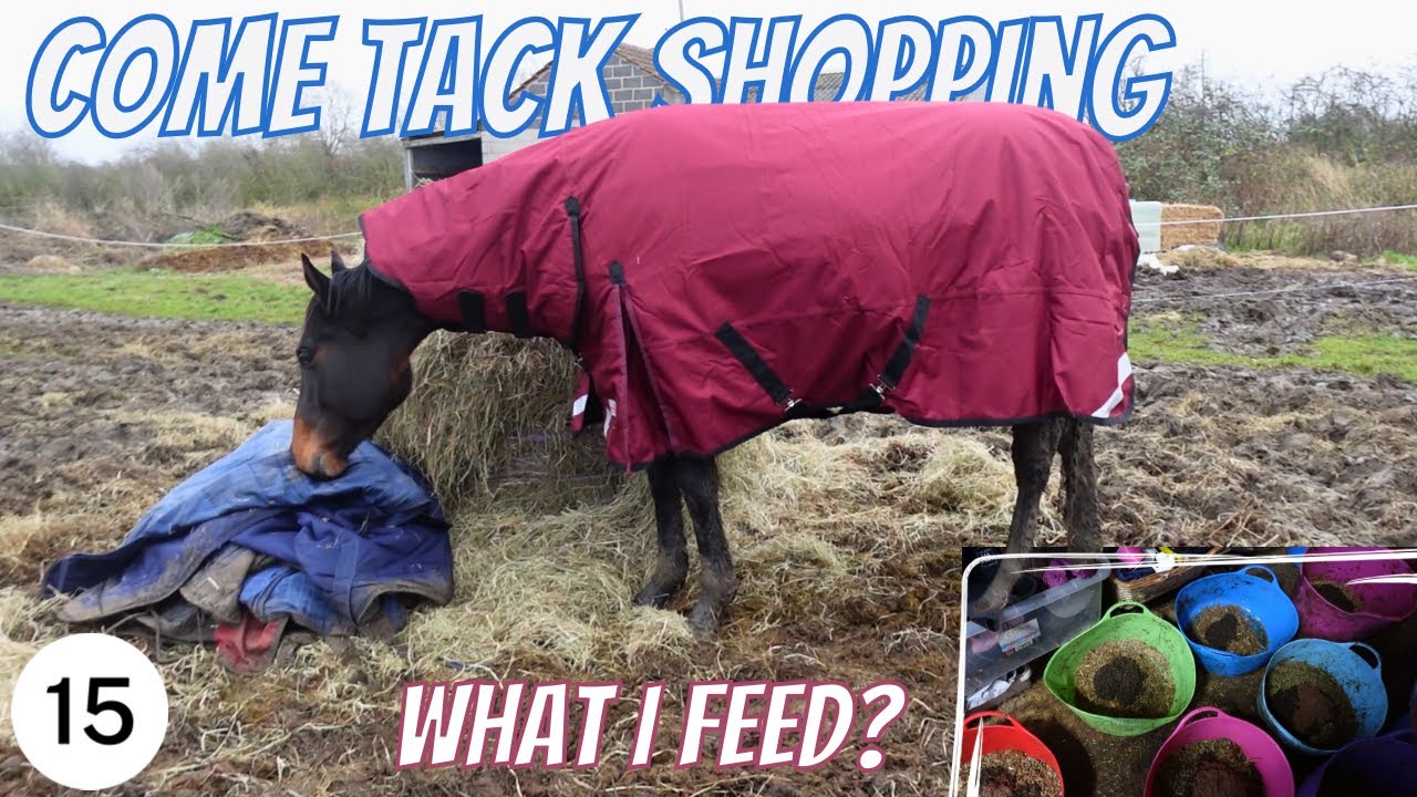 COME TACK SHOPPING WITH ME + What I Feed my Horses! | tarabrowneventing