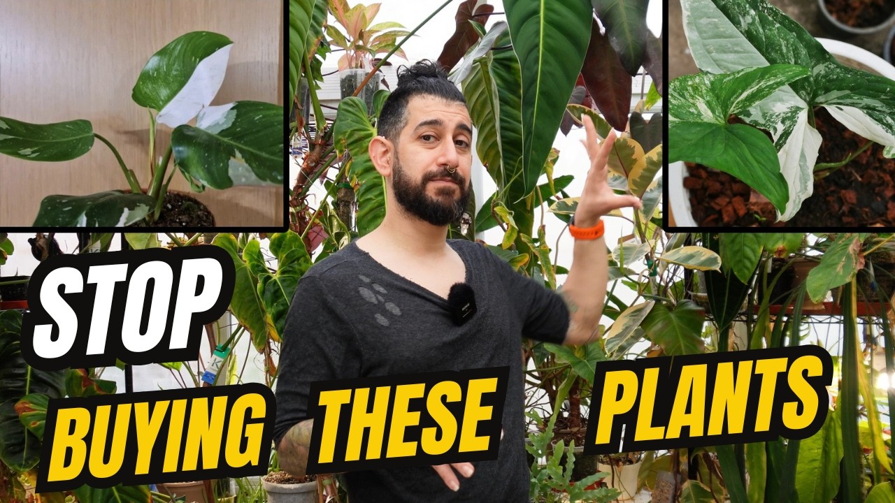 🌿 10 Houseplants I&rsquo;d NEVER Buy Again&hellip; And What I&rsquo;d Get Instead 😳