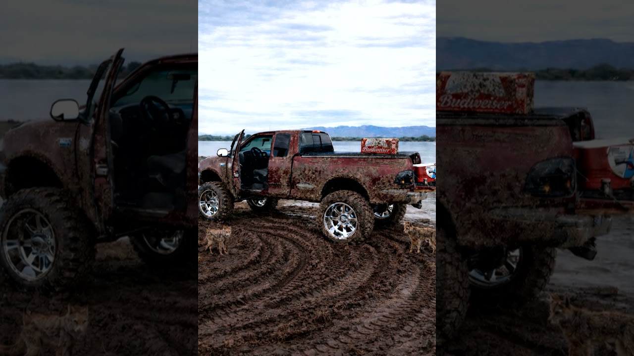 Lobo f150