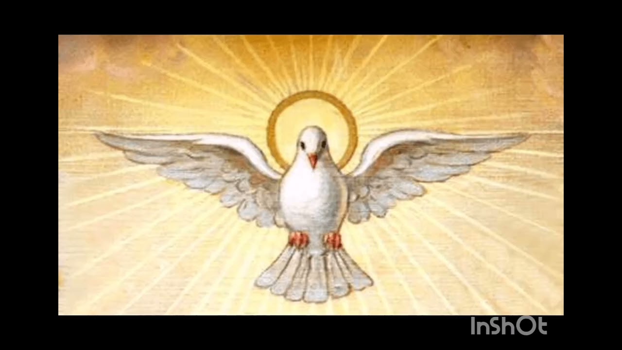 Los Cinco Minutos del Espíritu Santo 🕊️ 2 de septiembre ✍🏻 por Monseñor Víctor Manuel Fernández 🌱