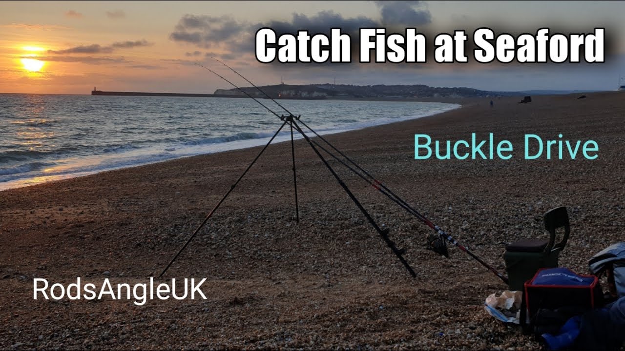 Catch Fish at Seaford: BUCKLE DRIVE