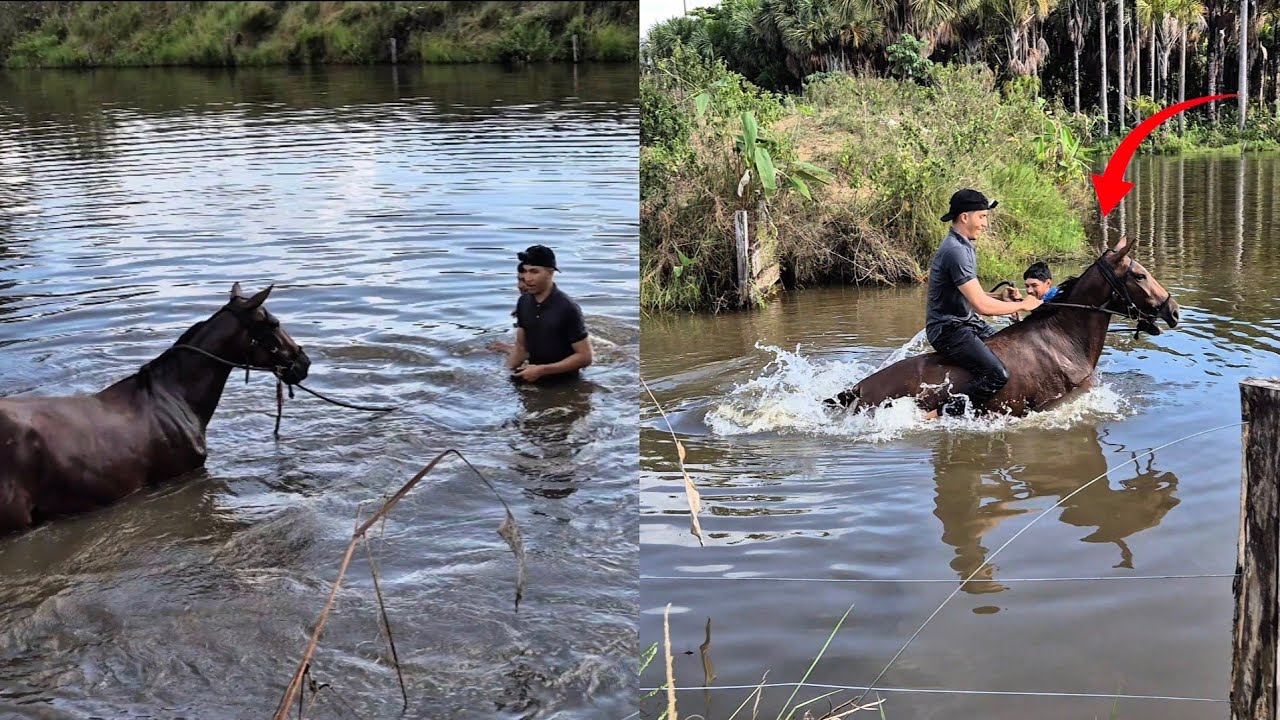Coloquei a égua braba na Água - Montei nela pela primeira vez 