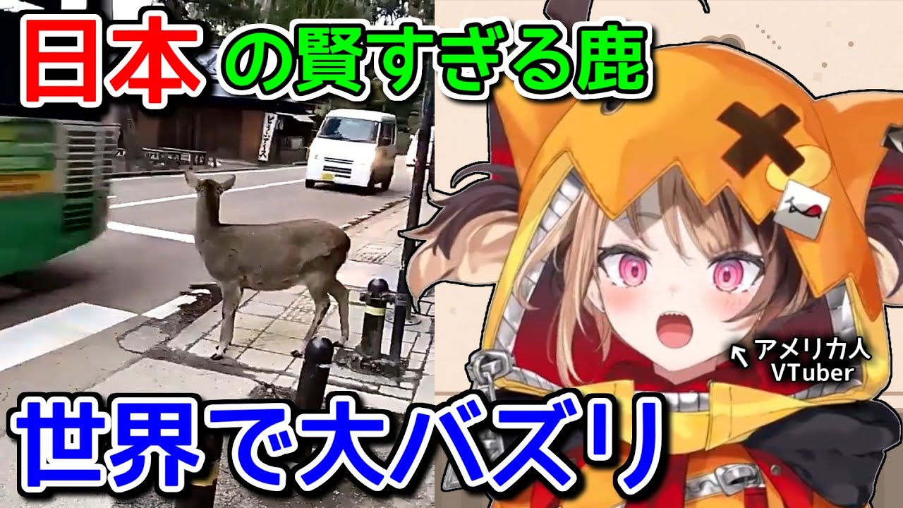 アメリカ人「日本は鹿すら行儀が良いのか？」【ホロライブ切り抜き / 英語解説 / ジジムリン】