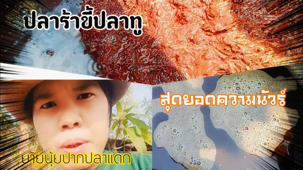 ทดลองสูตร17 ต้มน้ำปลาร้าขี้ปลาทูเงินล้านสร้างอาชีพ ลดต้นทุนเพิ่มกำไร