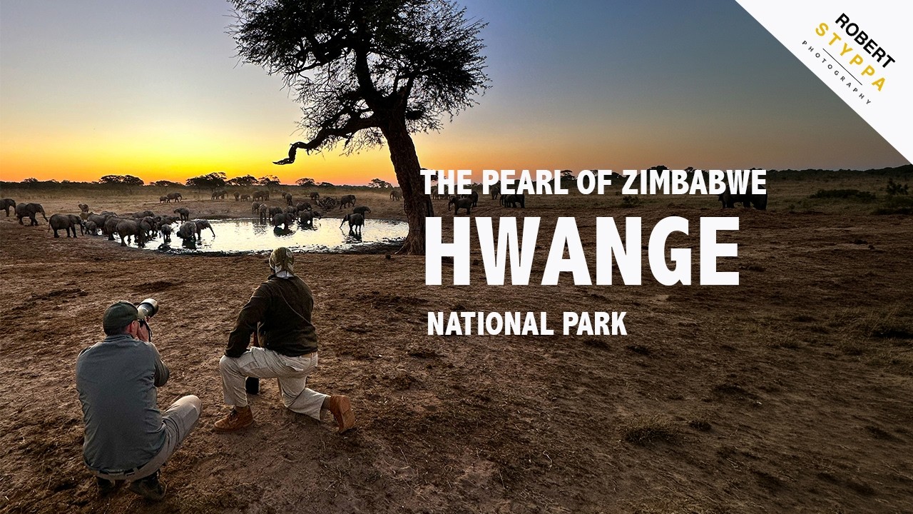 HWANGE NATIONAL PARK (ZIMBABWE): Hwange National Park - Elephant Encounters and Wildlife Wonders