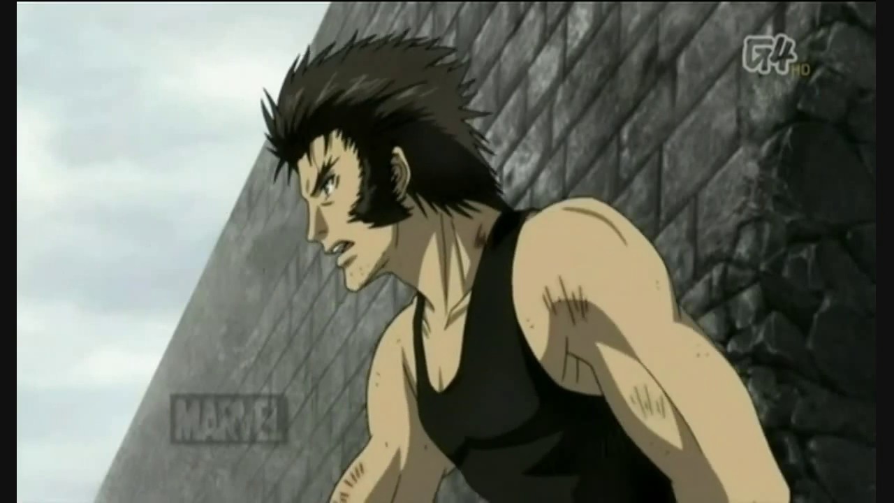 [Wolverine AMV] In The End
