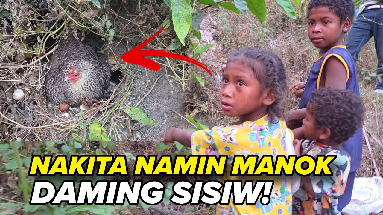HABANG KAMI AY PAUWI NAKITA NG MGA BATA ITLOG NG MANOK NAG SISIW NA!