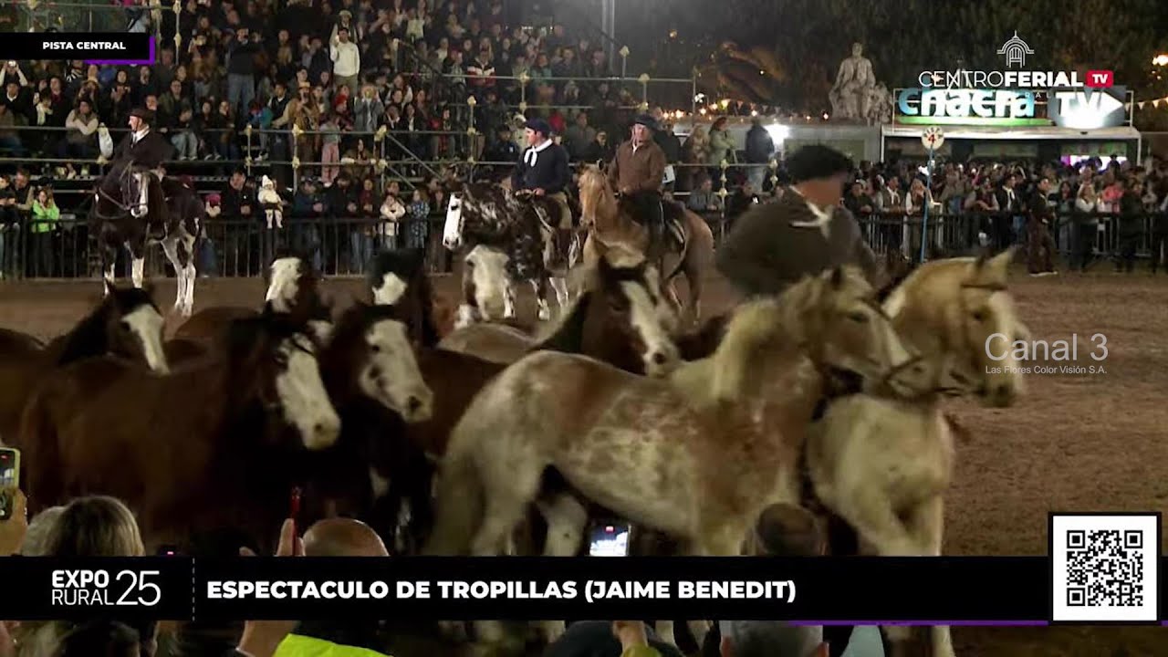 TROPILLAS ENTABLADAS EXPO RURAL DE PALERMO 2025 MARCELO PELLEJERO Y FACUNDO DUCHE SE LUCIERON