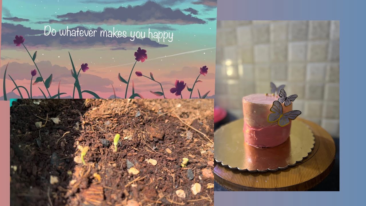 Sowing fenugreek seeds🌱and baking cake for my sister’s birthday 🎂…#1stvlog