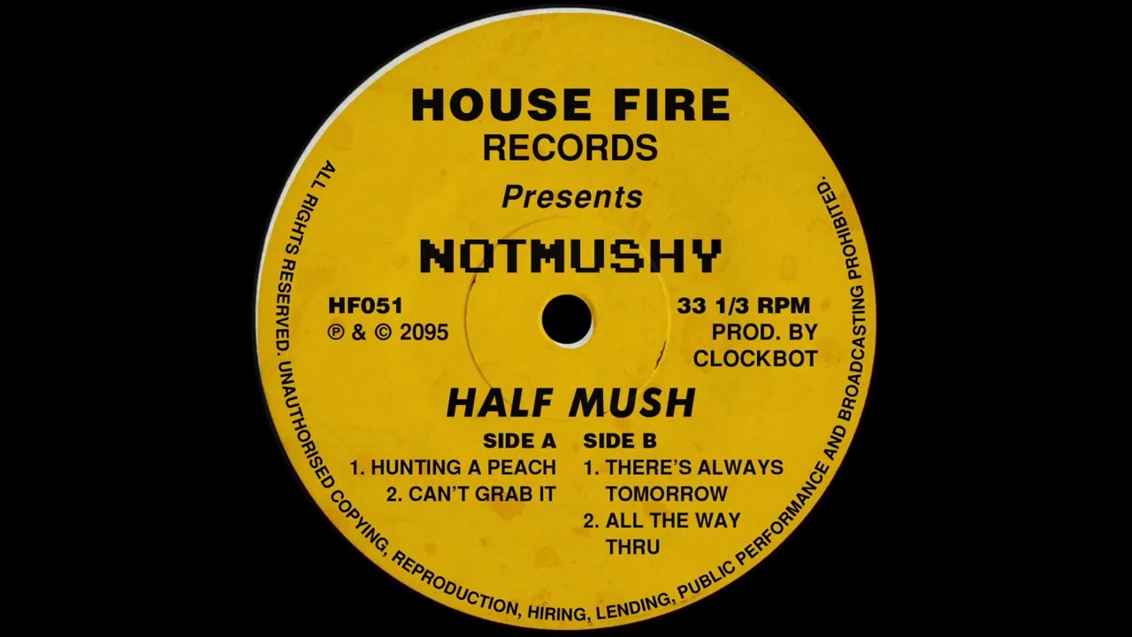 Notmushy - Can't Grab It