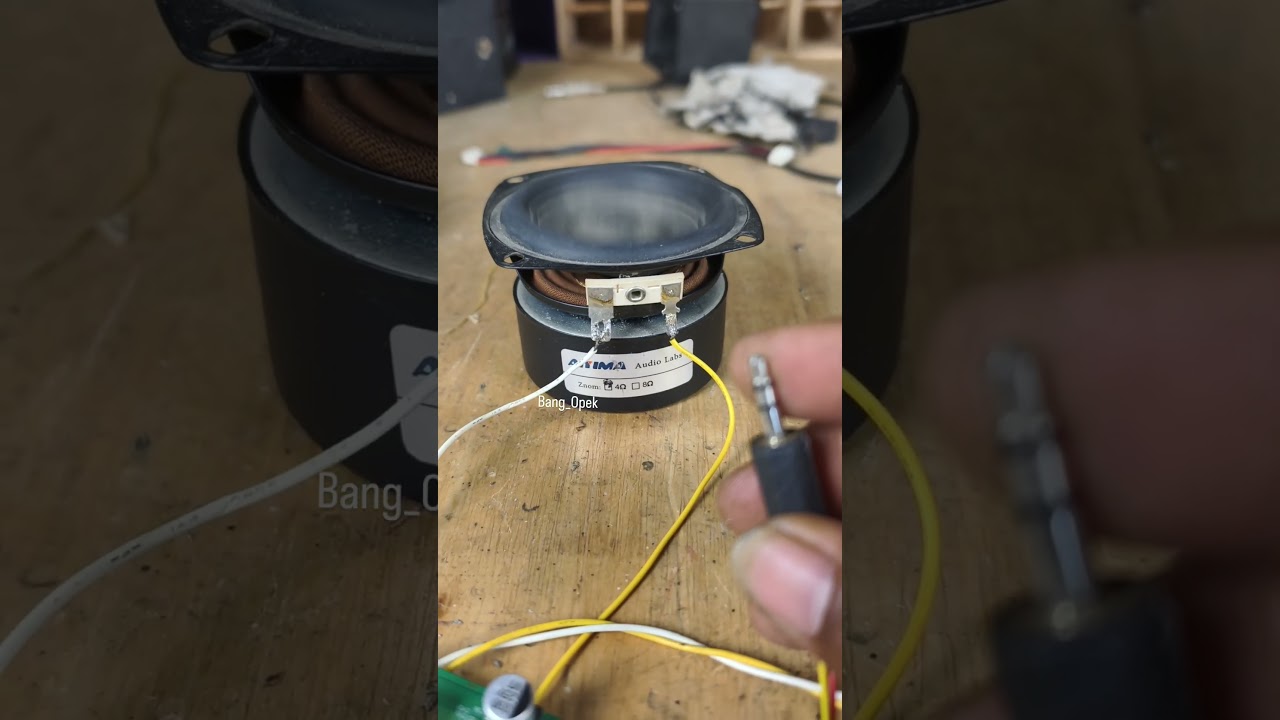 3 inch subwoofer speaker