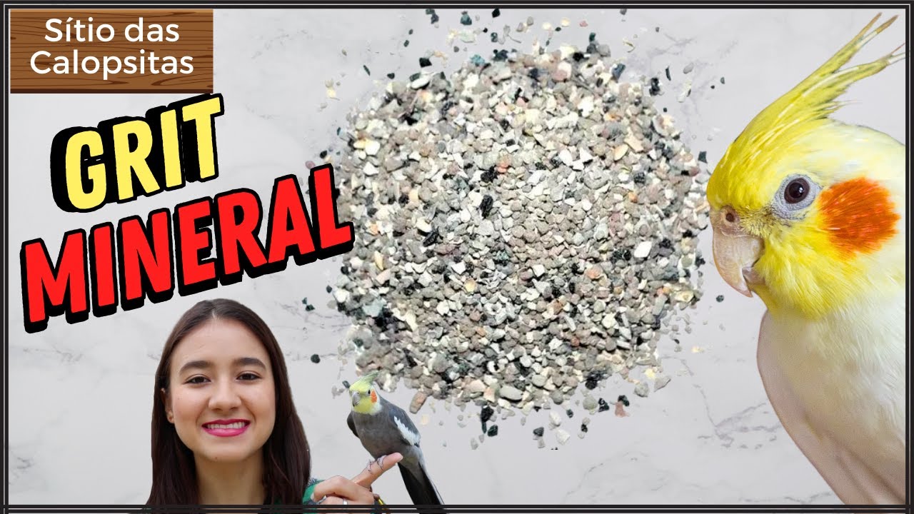 GRIT MINERAL PARA AVES, FAZ BEM?