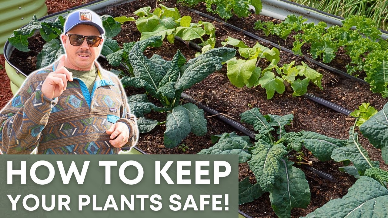 Don't Make This Raised Bed Mistake!