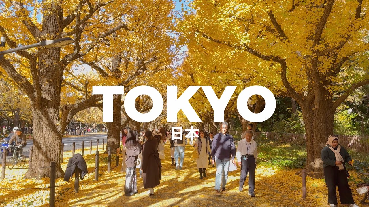 TOKYO AUTUMN | From SACRED to the Best STARBUCKS in the world? Ginkgo Trees | 4K Travel |